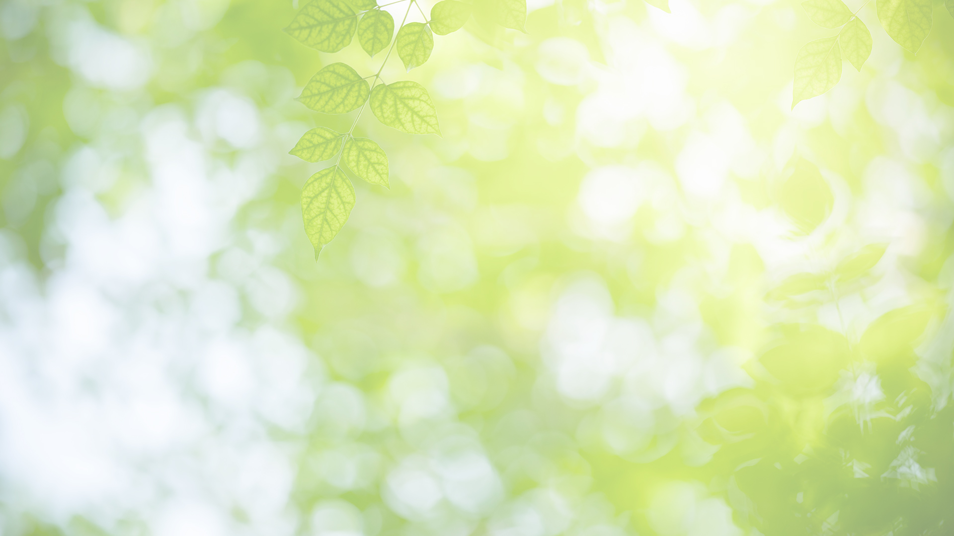新着情報
